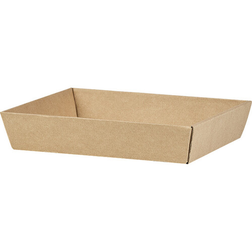 Tray cardboard kraft rectangular unprinted delivered flat (dimension assembled)
