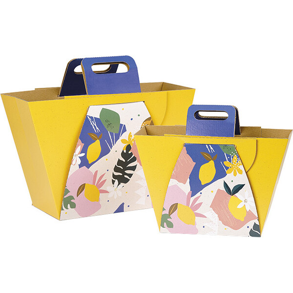 Shopping bag cardboard trucated cone shaped CITRUS GARDEN handles