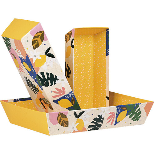 Corbeille carton rectangle JARDIN D'AGRUMES