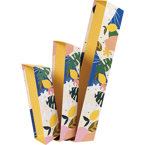 Corbeille carton rectangle JARDIN D'AGRUMES