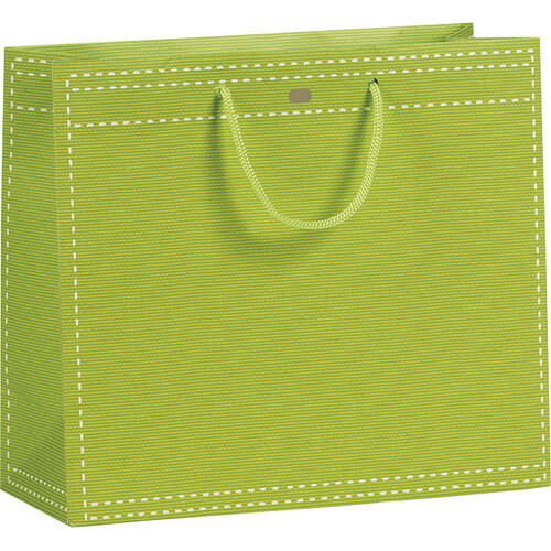 Sac papier vert anis poignées corde/oeillet de...