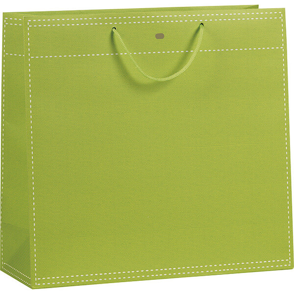 Sac papier vert anis poignées corde/oeillet de fermeture