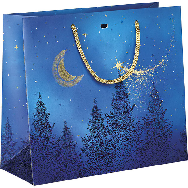 Sac papier NUIT ETOILEE bleu/dorure à chaud or/poignées corde/oeillet de fermeture