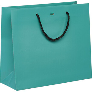 Bag paper blue black paper handles eyelet