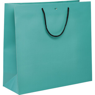 Bag paper blue black paper handles eyelet