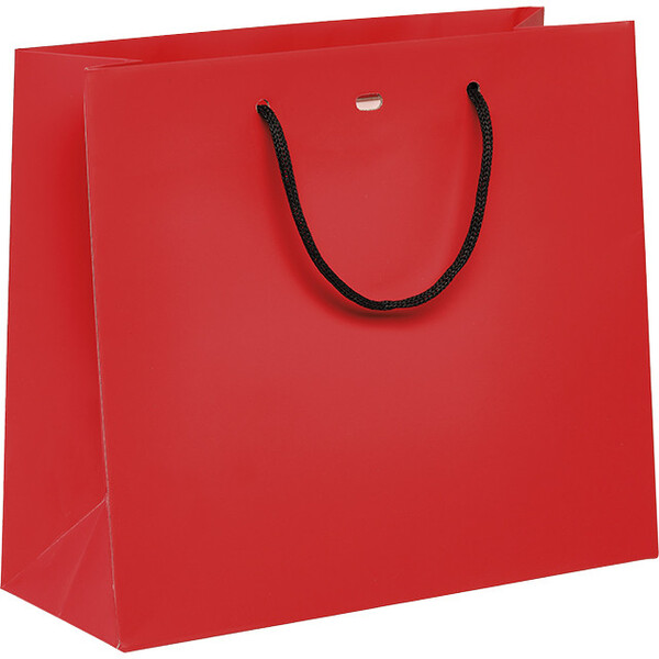 Bag paper red black paper handles eyelet