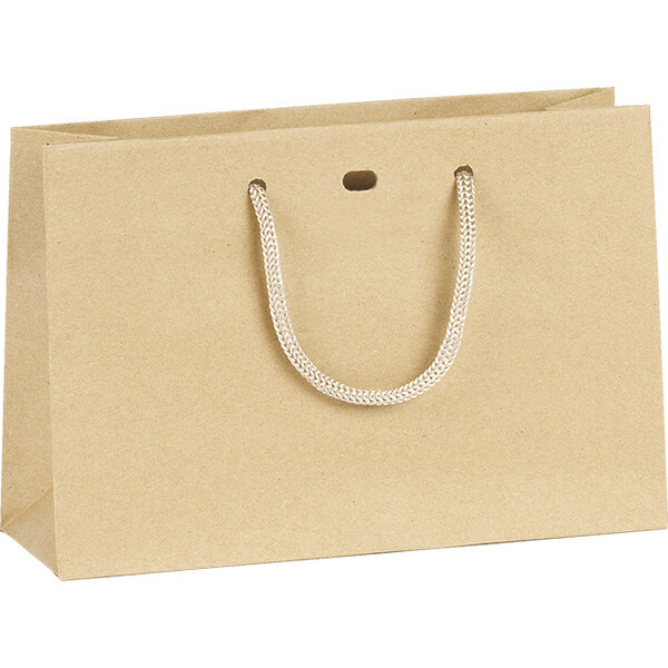 Bag paper kraft cord handles eyelet