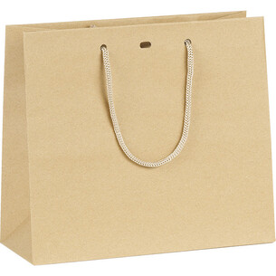 Bag paper kraft cord handles eyelet