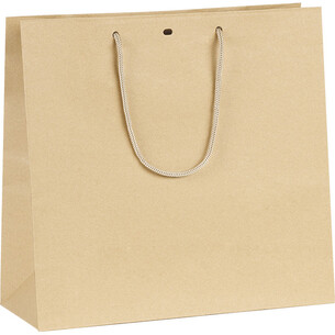 Bag paper kraft cord handles eyelet