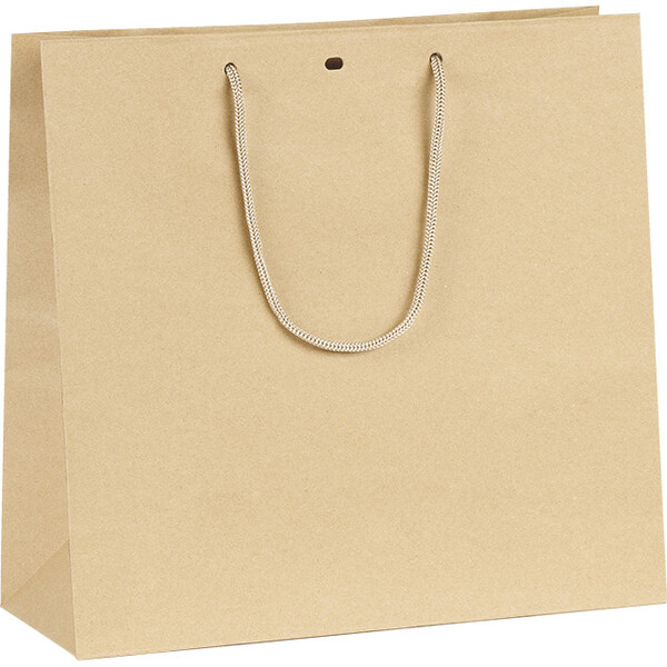 Bag paper kraft cord handles eyelet