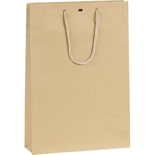 Bag Paper kraft 3 bottles cord handles eyelet