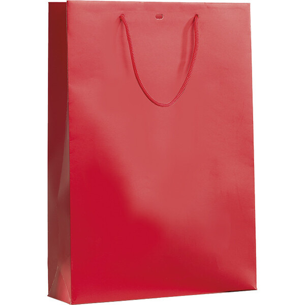 Bag paper 3 bottles red cord handles eyelet divider