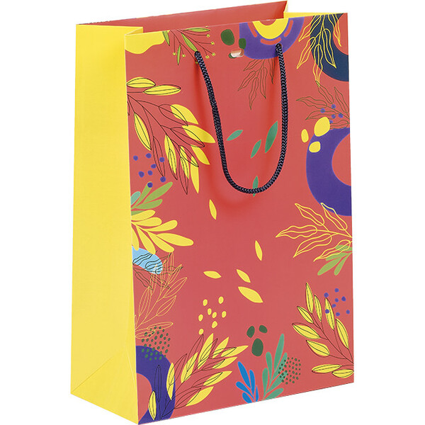 Bag paper SUMMER FLAVOURS red/yellow/green cord handles blue eyelet