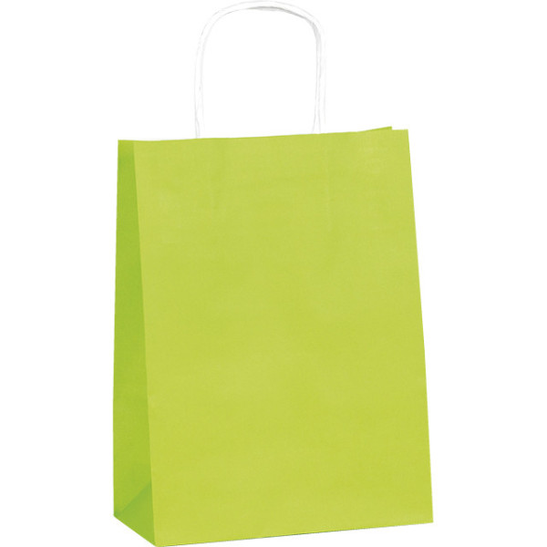 Sac papier kraft lisse vert anis 90g soufflets latéraux poignées torsadées blanches - Lot de 100 pièces
