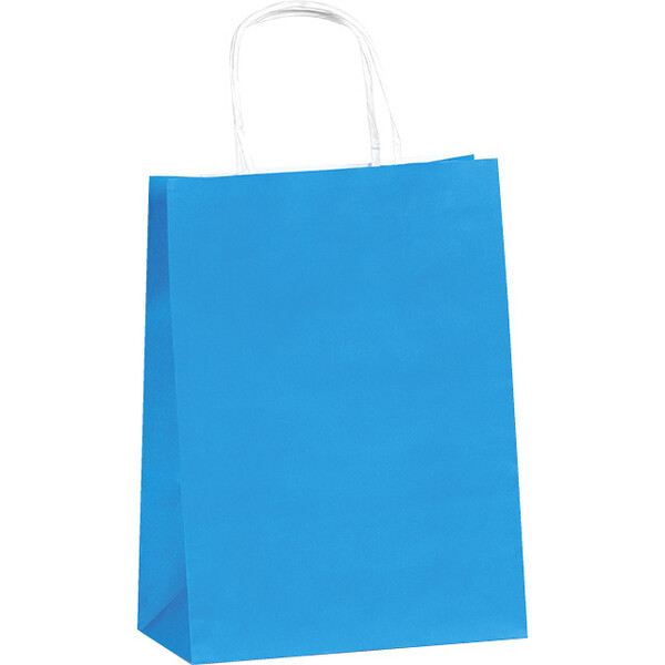 Bag paper kraft smooth sky blue 90g side twisted white handles - 100 pouches indivisible pack