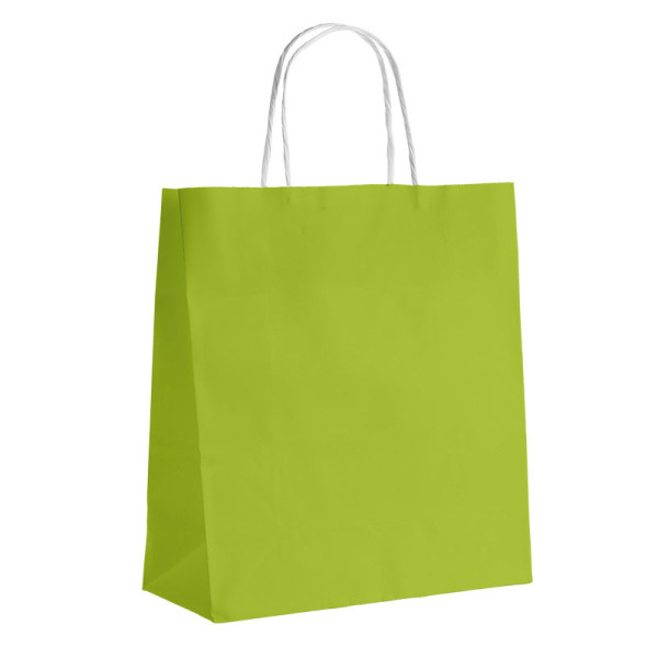 Bag paper kraft smooth light green 110g side twisted white handles - 100 pouches indivisible pack