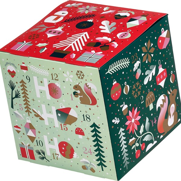 Coffret carton cube Calendrier Avent JARDIN D'HIVER vert/blanc/rouge/rose/cuivre 24 cases fenê. prédécoupées