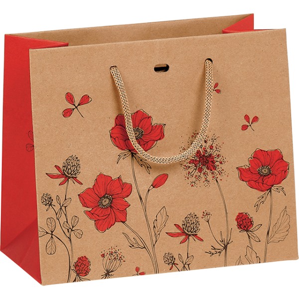 Bag paper kraft COUNTRYSIDE AWAKENING red rope handles/eyelet