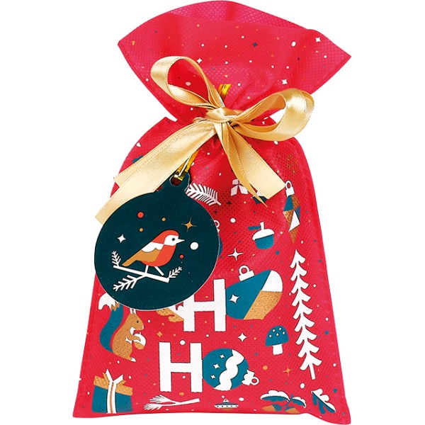 Bag polypropylene non-woven WINTER GARDEN green/white/red/pink/copper satin ribbon copper/tag