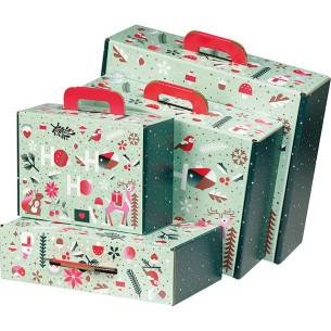 Suitcase cardboard rect WINTER GARDEN... 2