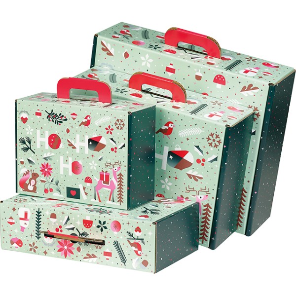 Valisette carton rectangle JARDIN D'HIVER vert/blanc/rouge/rose/cuivre livraison à plat dim int.