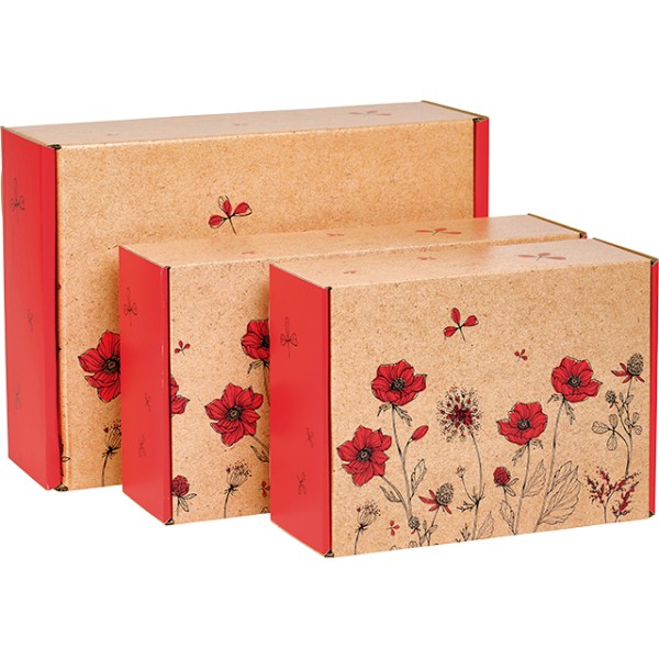 Coffret carton kraft rectangle EVEIL CHAMPETRE kraft/rouge livraison à plat dim int.