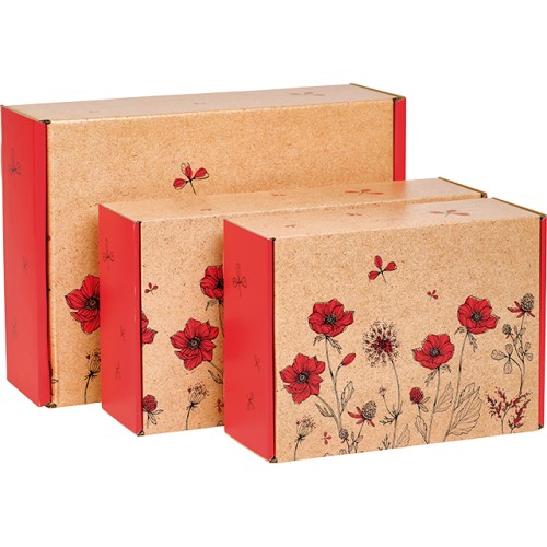 Box cardboard kraft rect. COUNTRYSIDE AWAKENING...