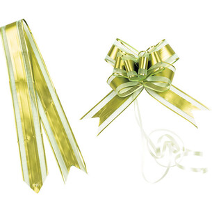 Noeud à tirer coloris vert anis - lot de 10 pièces