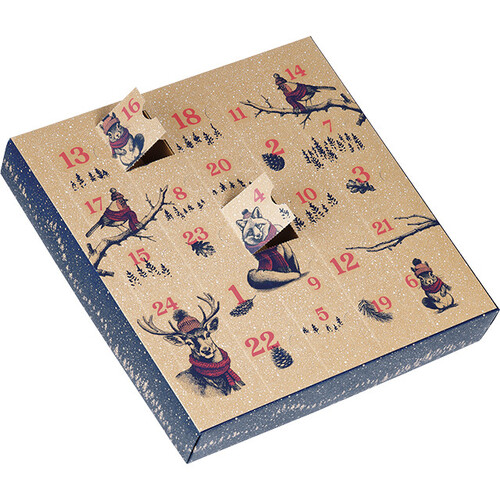 Box cardboard square Advent Calendar UNEXPECTED ENCOUNTERS green/ gold hot foil stamping 24 precut windows