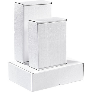 Box cardboard rectangular white semi-automatic delivered... 2