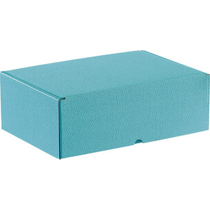 Box cardboard rectangular blue semi-automatic delivered flat
