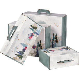 Suitcase cardboard rectangular SNOWY COUNTRY 2
