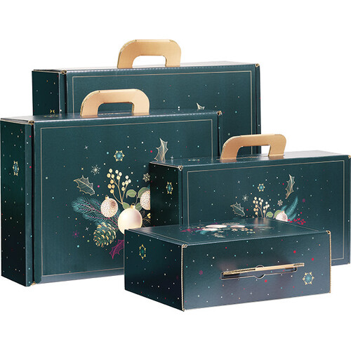 Suitcase cardboard rectangular ENCHANTED NATURE...