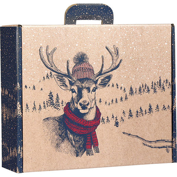Maleta cartón kraft rectangular ENCUENTROS INSOLITOS ciervo/rojo/azul/blanco