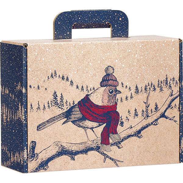 Maleta cartón kraft rectangular ENCUENTROS INSOLITOS pájaro/rojo/azul/blanco