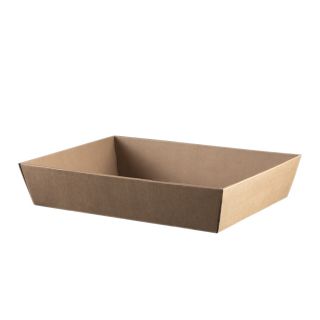 Tray cardboard kraft rectangular unprinted delivered flat (dimension assembled)