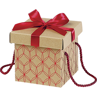 Box cardboard square kraft red geomitrical circle red satin bow red cord 