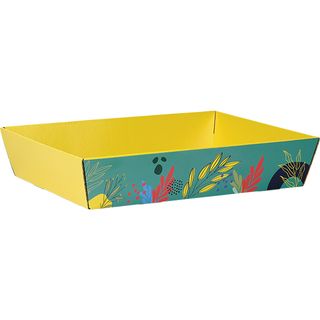 Tray Cardboard rectangular SUMMER FLAVOURS red/yellow/green delivered flat (dimension assembled)