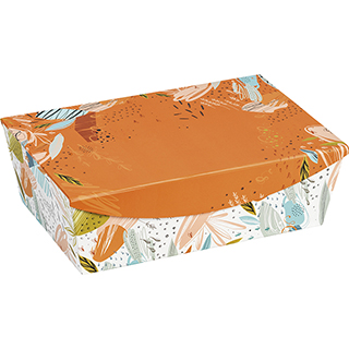 Coffret carton rectangle orange/fraîcheur fermeture aimantée