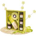Square wood tray with 2 compartments and 2 removable separations / green